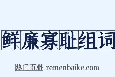 鲜廉寡耻组词是什么意思的图片